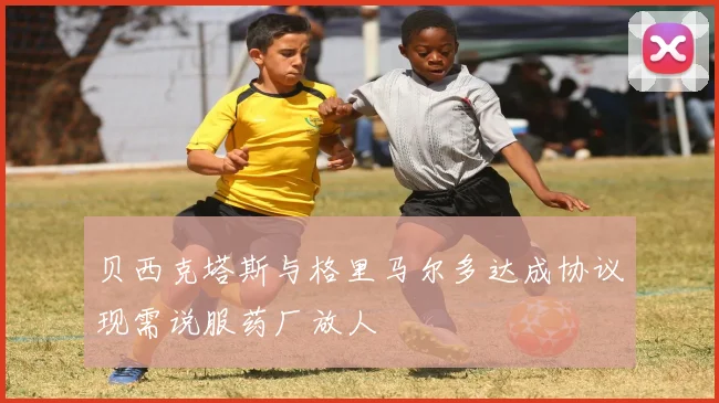 贝西克塔斯与格里马尔多达成协议现需说服药厂放人